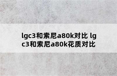 lgc3和索尼a80k对比 lgc3和索尼a80k花质对比